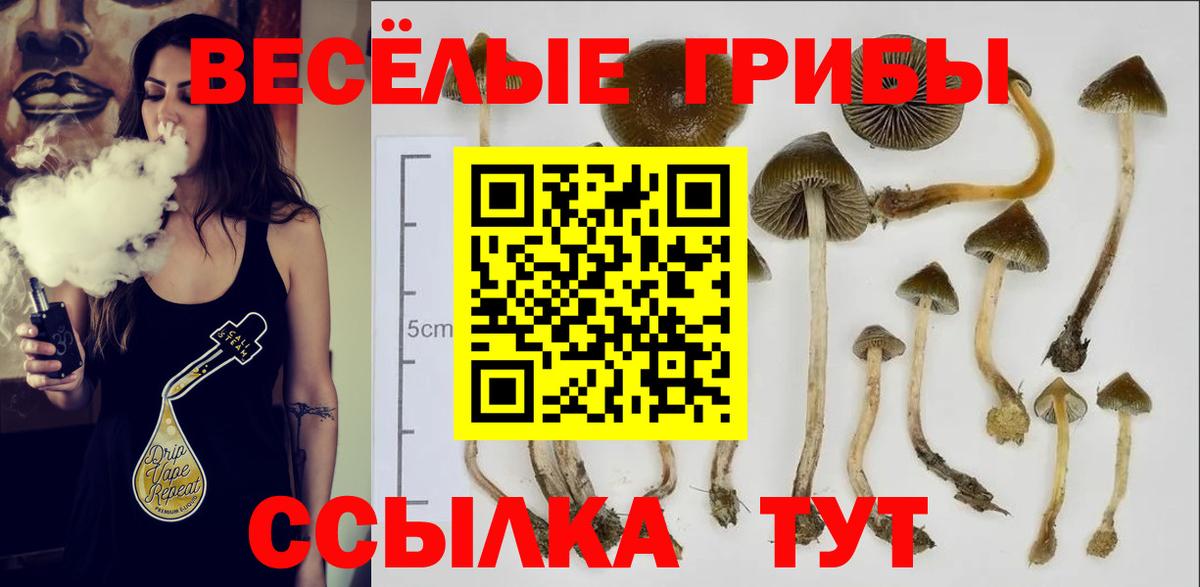Псилоцибиновые грибы мухоморы Сальск