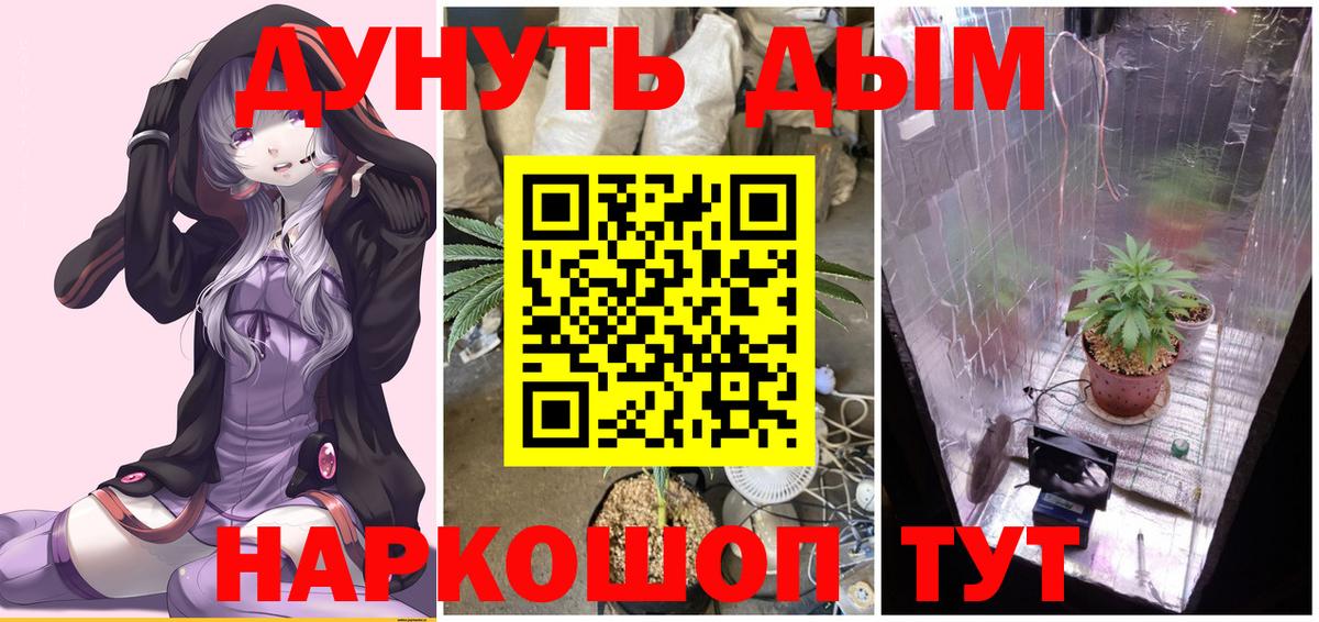 Марихуана план Сальск